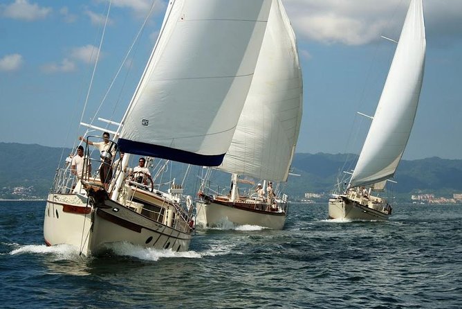 Whale Watching The Best Of Puerto Vallarta - Weather, rescheduling, and what “weather permitting” really means