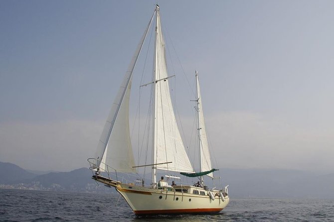 Whale Watching The Best Of Puerto Vallarta - Who should book this whale watch (and who should skip)