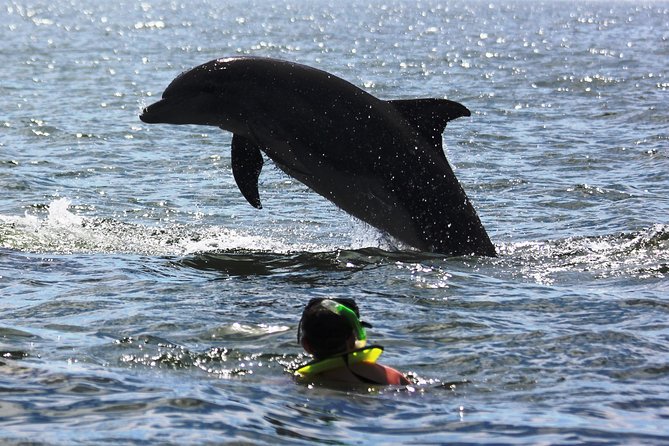 Wild Dolphin Encounter & Snorkeling Adventure - Los Arcos de Mismaloya snorkeling: the underwater payoff and its limits