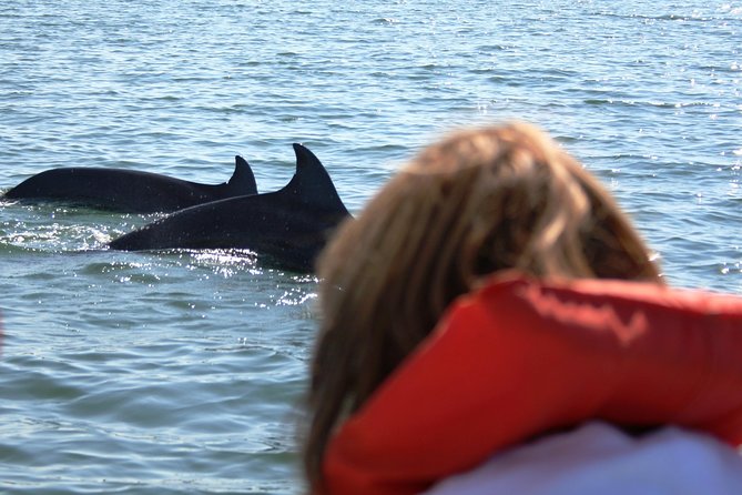 Wild Dolphin Encounter & Snorkeling Adventure - Food, drinks, and the $5 boarding fee: check the real cost