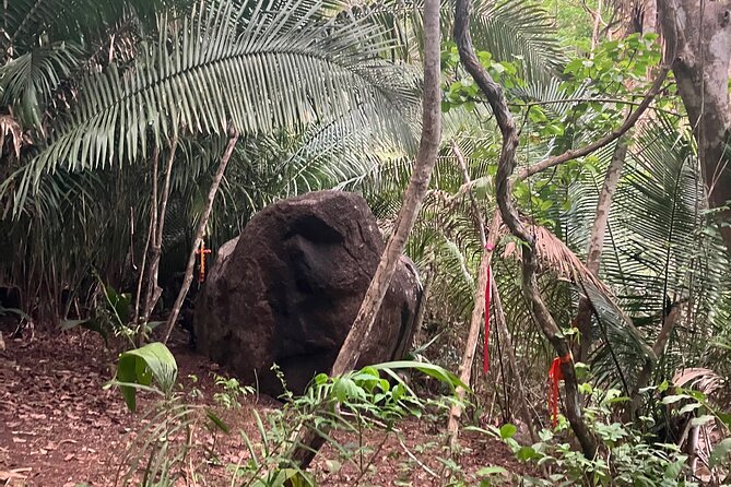Wixárika Indigenous Blessing: Sacred Walk in the Jungle - Terrain tips: shoes, canes, and pacing on steep or washed-out sections