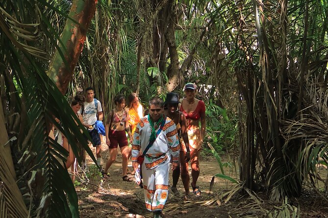 Wixárika Indigenous Blessing: Sacred Walk in the Jungle - Who this tour suits best