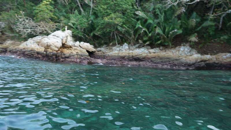Yelapa: Catamaran Cruise with Lunch and Open Bar - Lunch, Open Bar, and the Meal Rhythm on Board