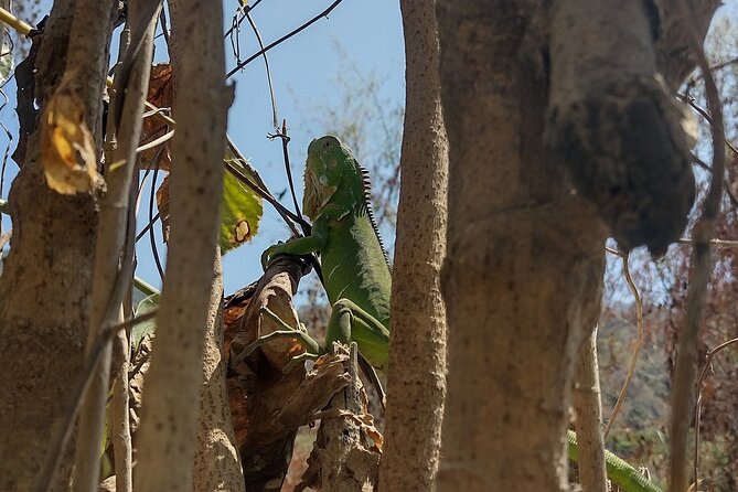 Yelapa escape - Returning to Puerto Vallarta the same way you came