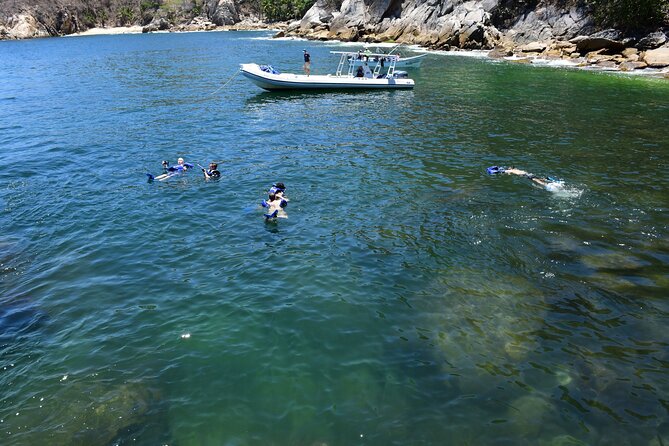 Yelapa Escape & Snorkeling in Puerto Vallarta by Speedboat - Bahia de Banderas snorkeling: what you’ll see and what to plan for