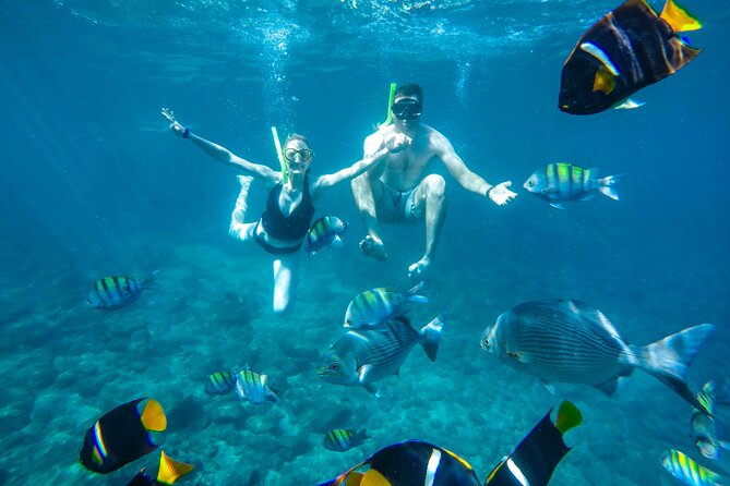 Yelapa Waterfall, BBQ at Exclusive Majahuitas Beach & Open bar - Should you book this Yelapa and Majahuitas tour?