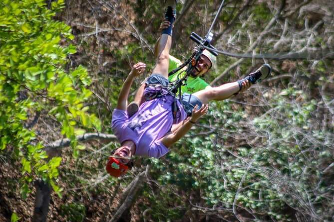 Zip Line Adventure in the heights in Puerto Vallarta 11 lines - What You See Up There: Forest Views, Birds, and the “Look Around” Habit